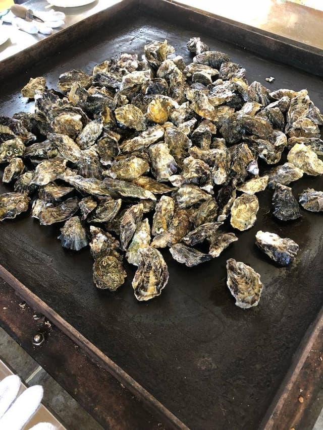 かき焼 うちの海 - サブ画像1