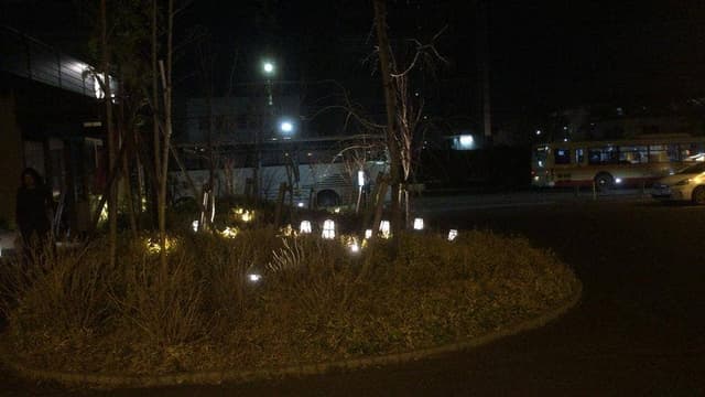 鎌倉パスタ 桜美林学園前店 - サブ画像2