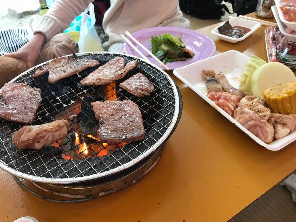京橋川花見茶屋 広島屋
