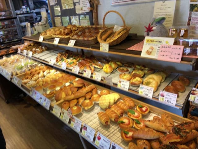 パンビオロジック空我 - サブ画像2