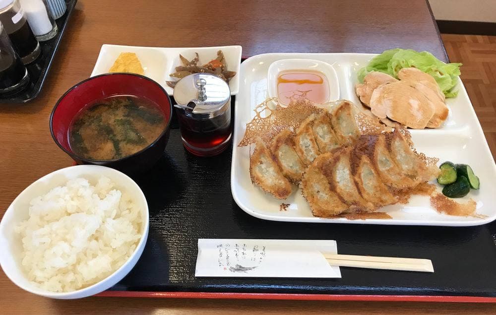 寺田さんちの健やか餃子