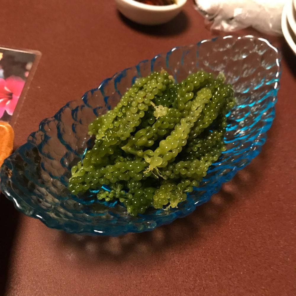 うちなーたいむ