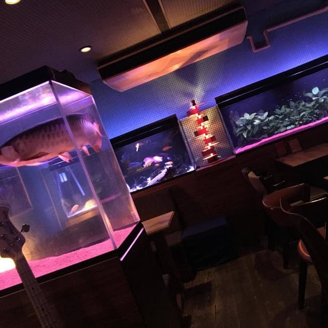 Bar fish - サブ画像2
