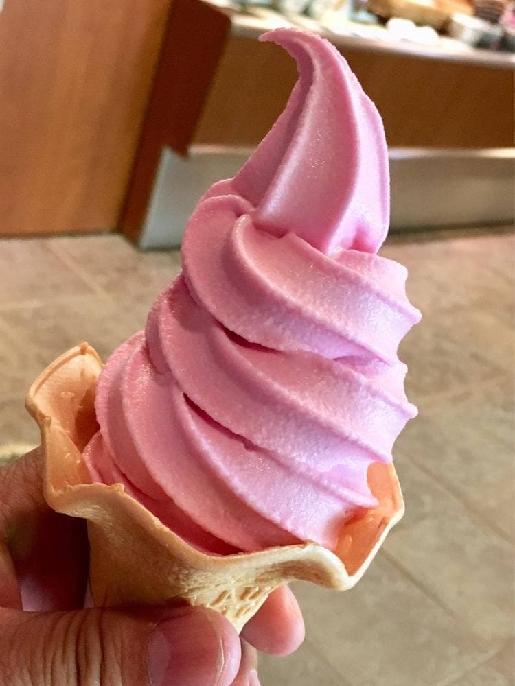 土井志ば漬本舗 三千院前店