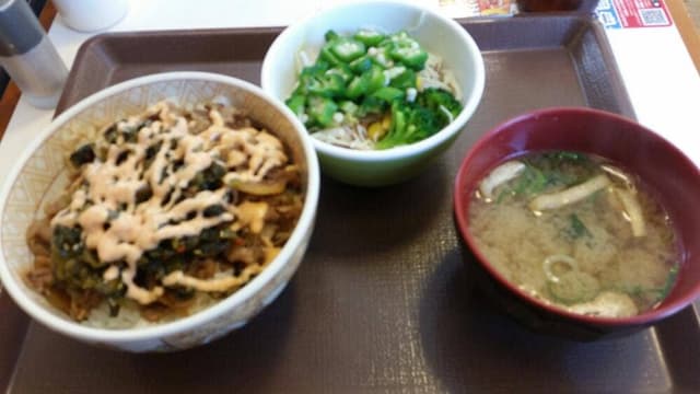 すき家 41号豊山店 - サブ画像1