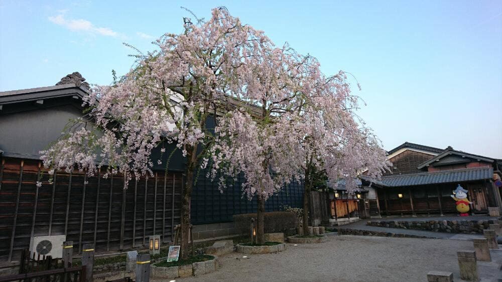 御菓子司 登美家里泉