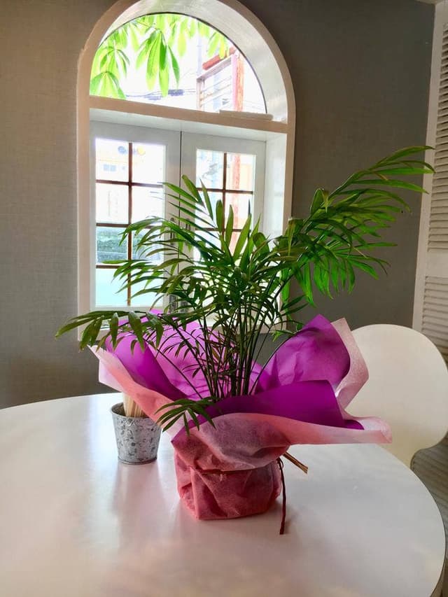 Cafe Skov - サブ画像2