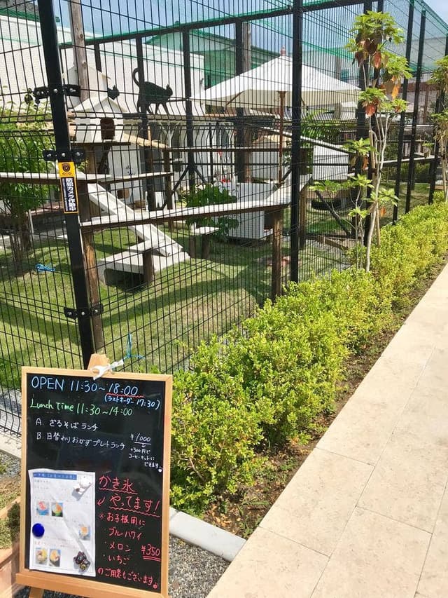 猫に会える隠れ家cafe catnap - サブ画像2
