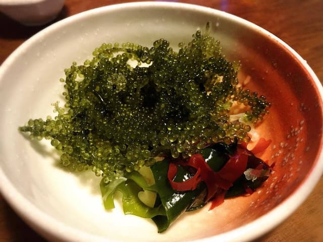 狸の気ばらし - サブ画像2