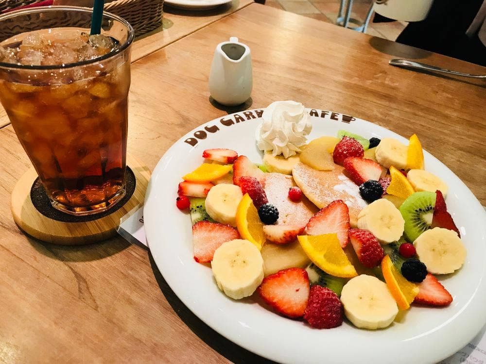 DOG GARDEN 青森店