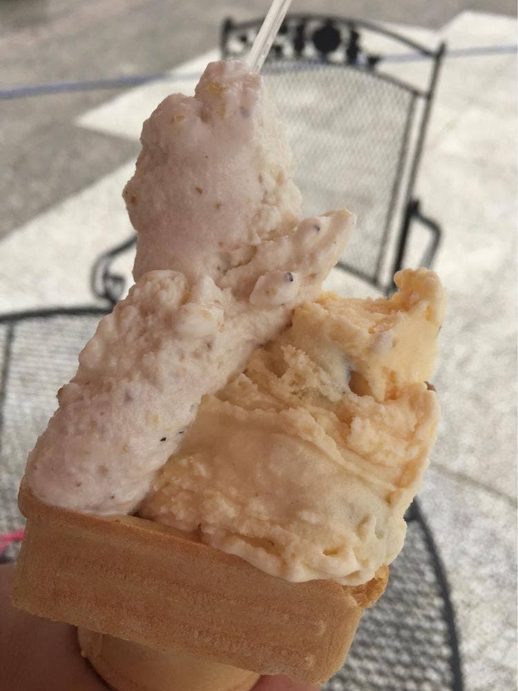 ジェラート工房 四つ葉のクローバー 農林公園店