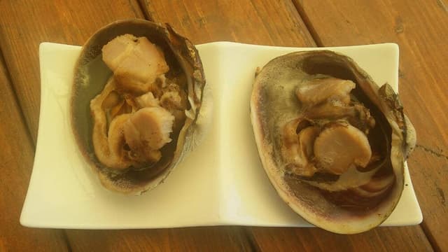 ポンカレーかじや & バーベキュー場 - サブ画像3