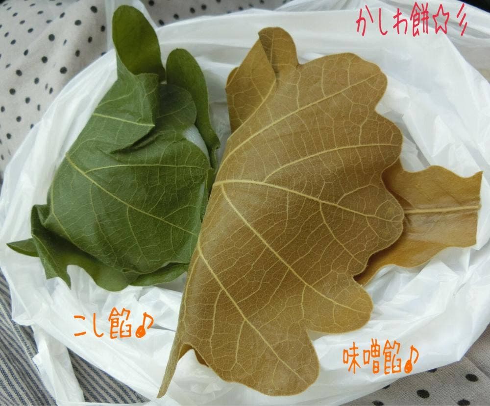 御菓子司 喜久龍