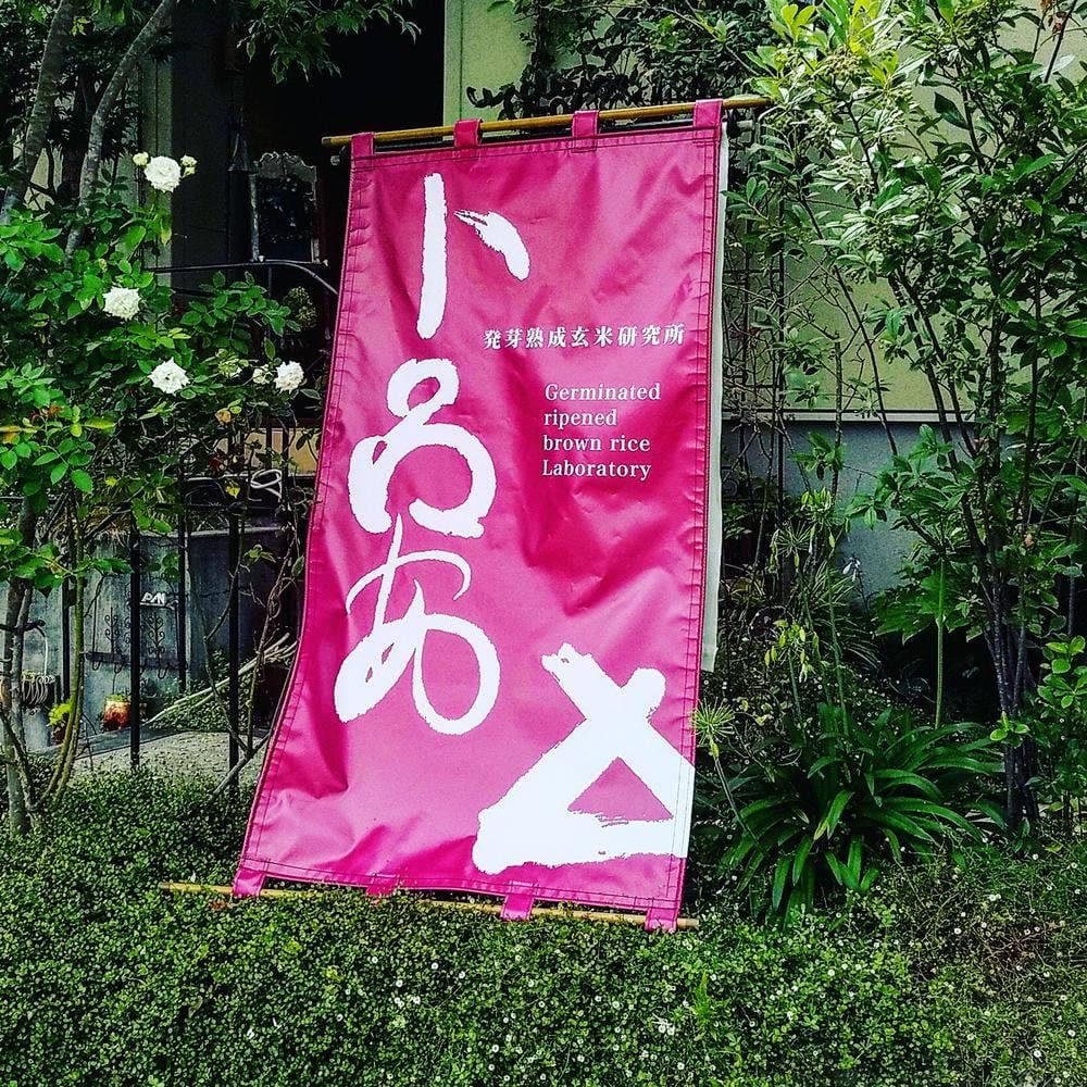 発芽熟成玄米研究所 ト呂あ キッチンカー