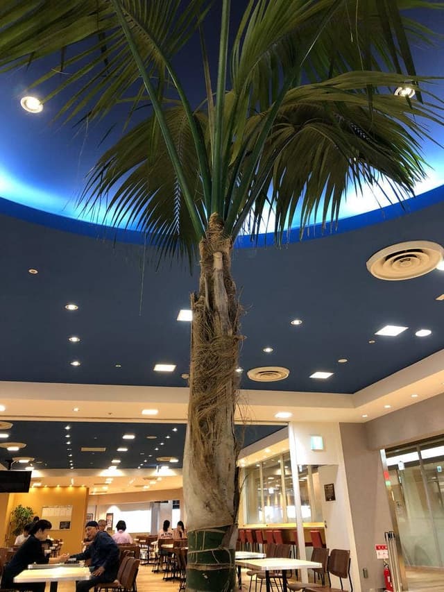 スパイス王国mini Oh!me大津テラス店 - サブ画像1