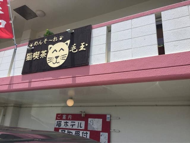 猫も遊べる喫茶店 毛玉 - サブ画像3