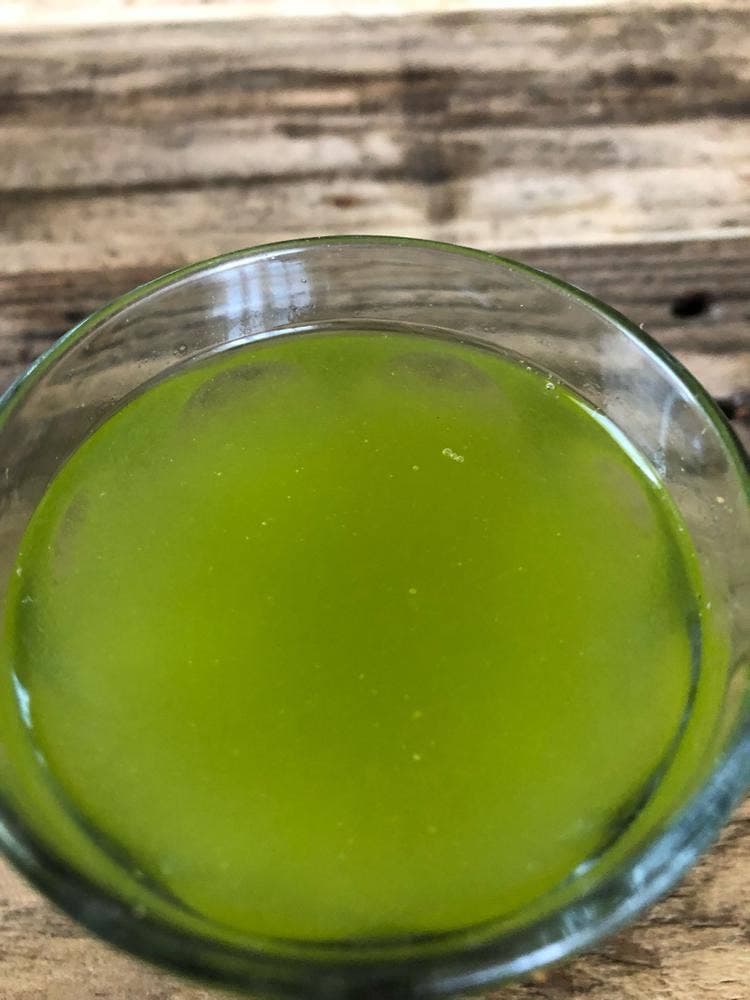 お茶の金子園
