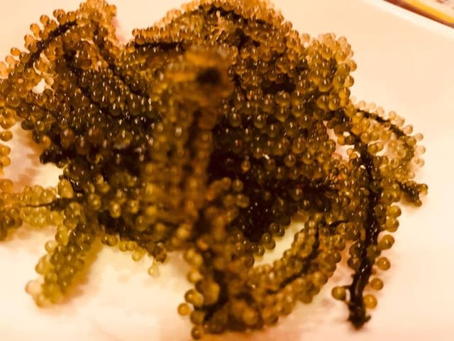 焼肉酒場 シーサードラゴン - サブ画像2