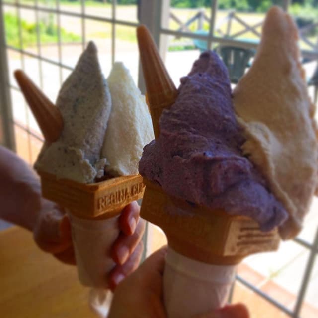 マキノピックランド - サブ画像2