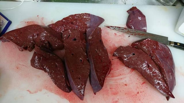 本格焼肉 れんが亭 - サブ画像1