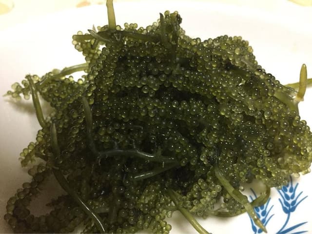 未来 ぎのざ 宜野座村 特産品加工直売センター - サブ画像3