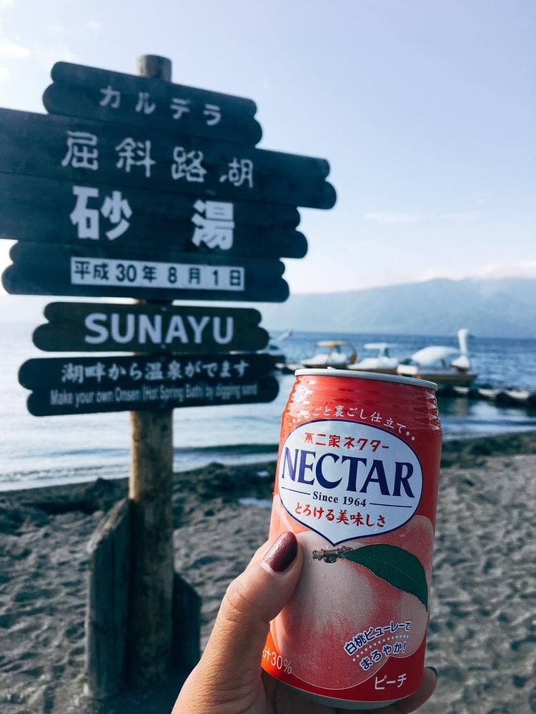 レタラチップ