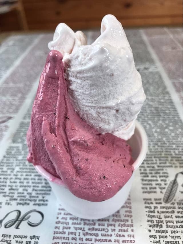 つくりたて生アイスの店 ふるフル - サブ画像2