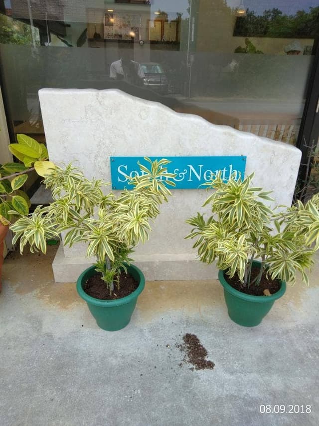 South&North - サブ画像1