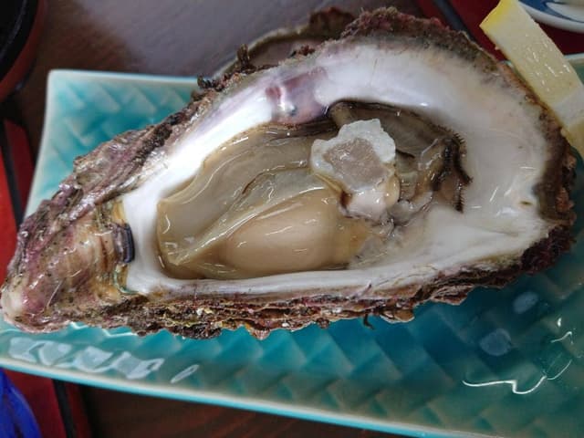 天然活魚 今新 - サブ画像3