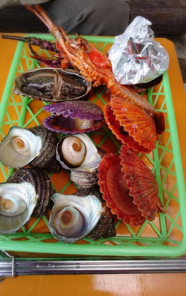 佐田岬灯台ピクニックハウス