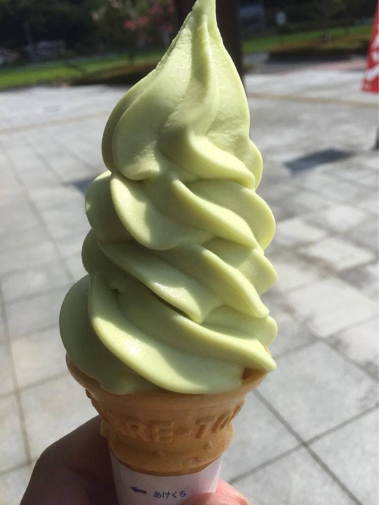 中国庭園 燕趙園