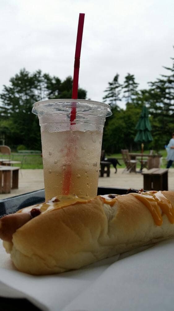 ドッグリゾート ワフ - サブ画像2