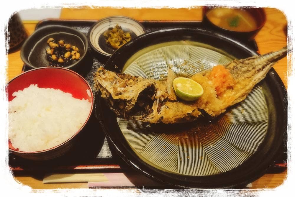 酒菜 せお