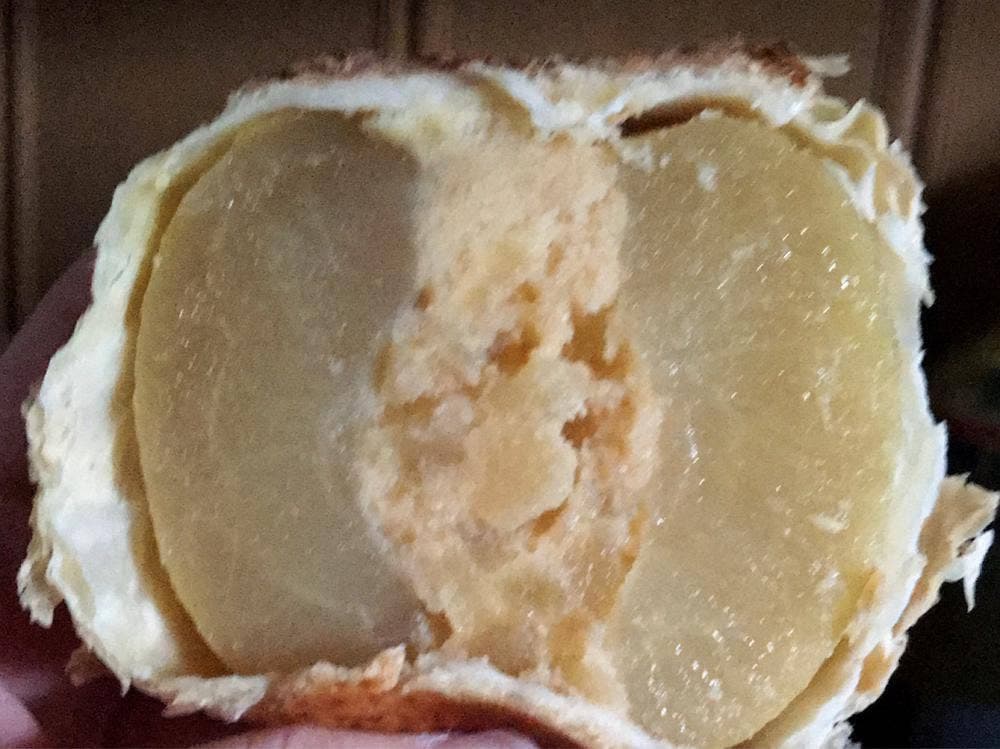 ラグノオ ユニバース南大町店