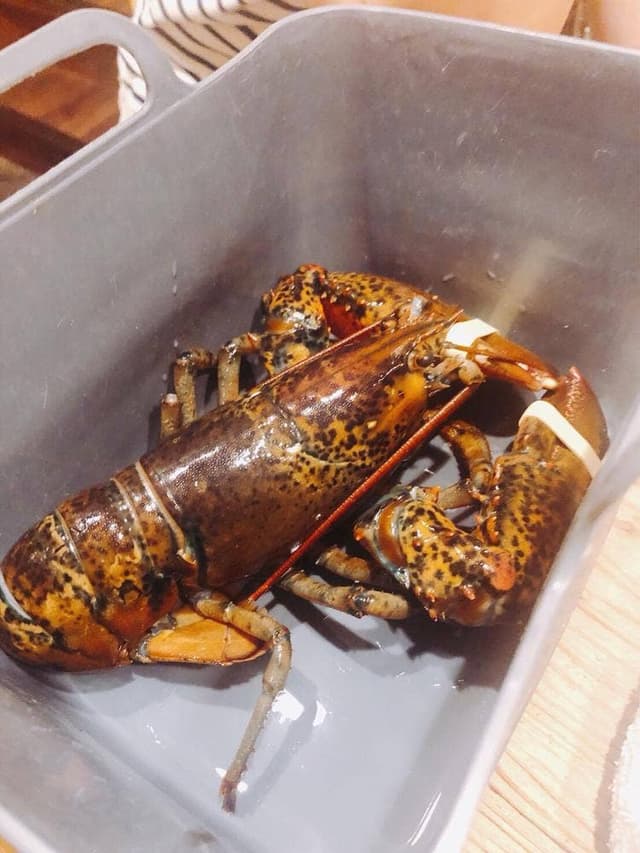 海老炉端 orb 裏天満ちょうちん通り店 - サブ画像3