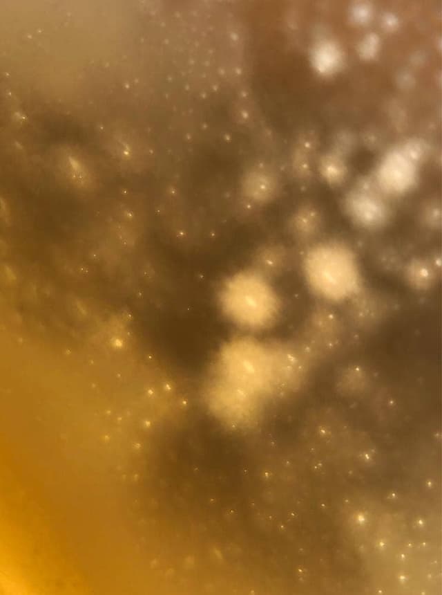 とんちゃん家 - サブ画像1