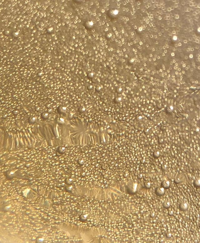 とんちゃん家 - サブ画像2