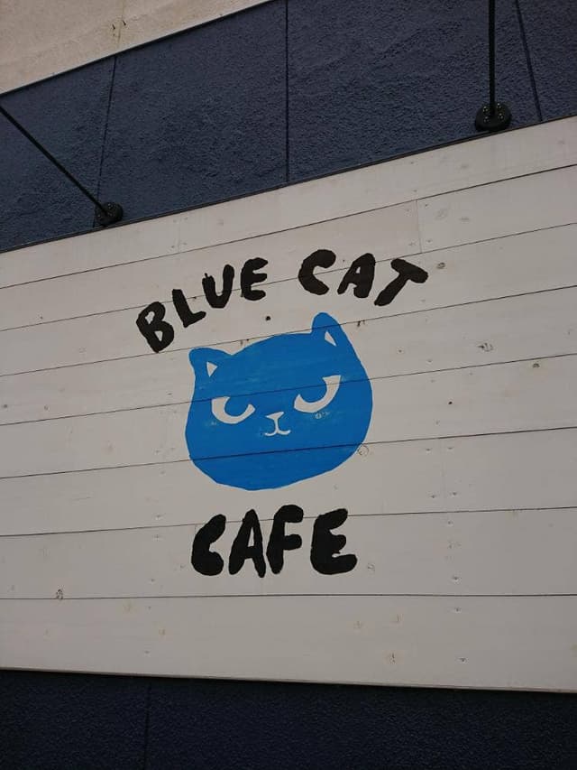 ブルーキャットカフェ - サブ画像3