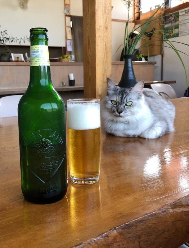 冬椿 - サブ画像2