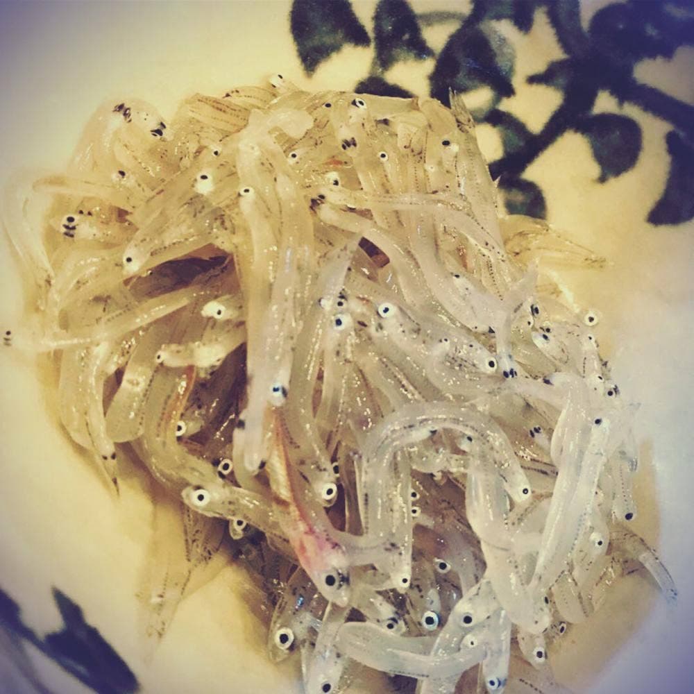 鮨 酒菜 秀人