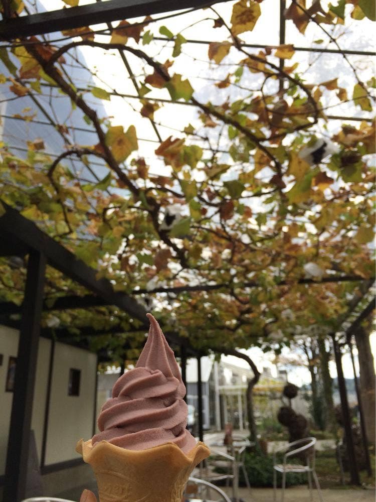 洋菓子工房ぶどうの森 本店