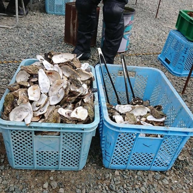 小島水産かき養殖場 - サブ画像2