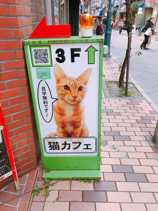 cat cafe Nyanny - サブ画像1