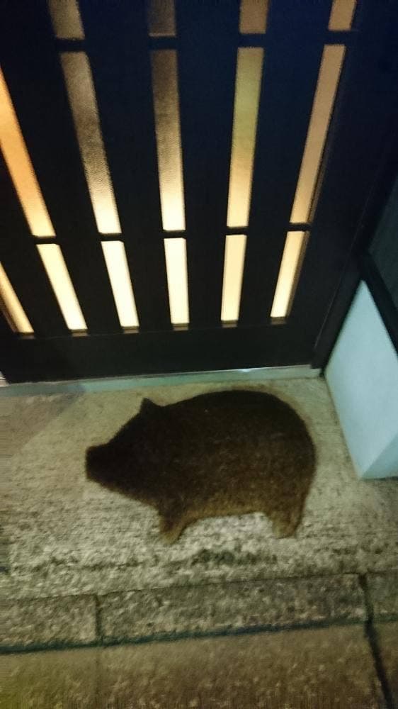 豚バル 大名庵 - サブ画像2