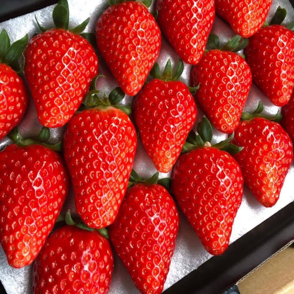 マリモファーム