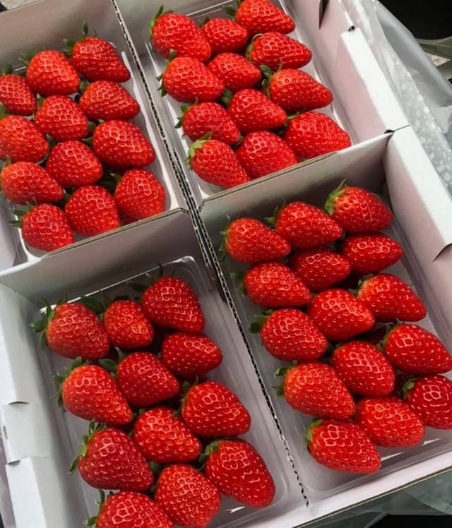 マリモファーム - サブ画像3