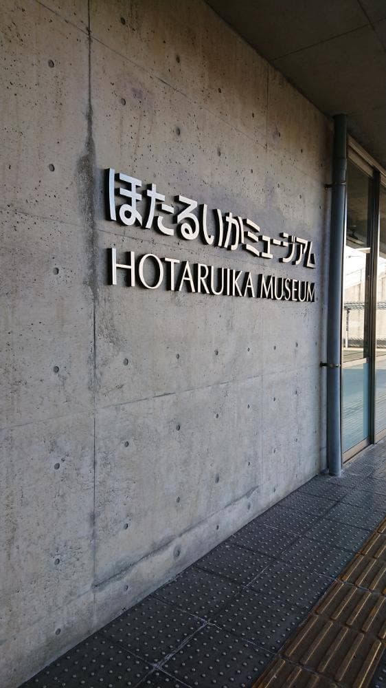 カネツル砂子商店 ほたるいかミュージアム店 - サブ画像3