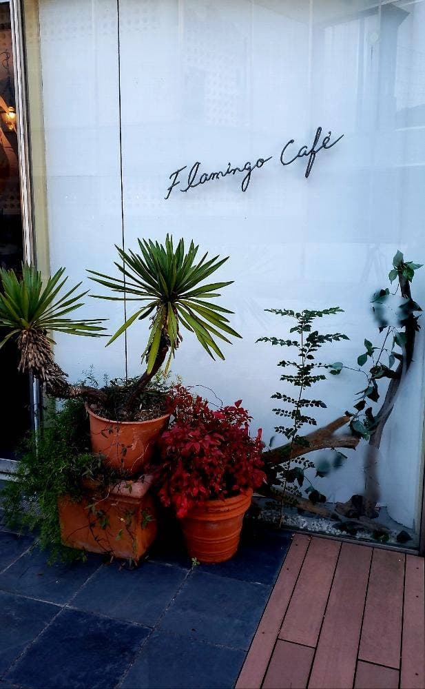 Flamingo Cafe 青山店
