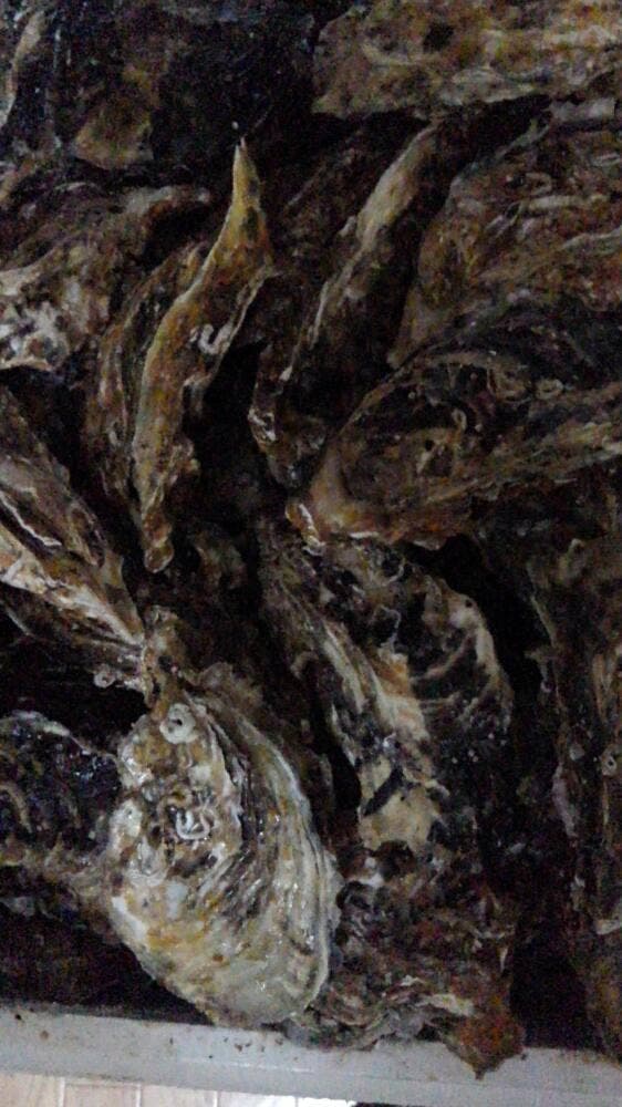 浦村かきの英治丸 - サブ画像2