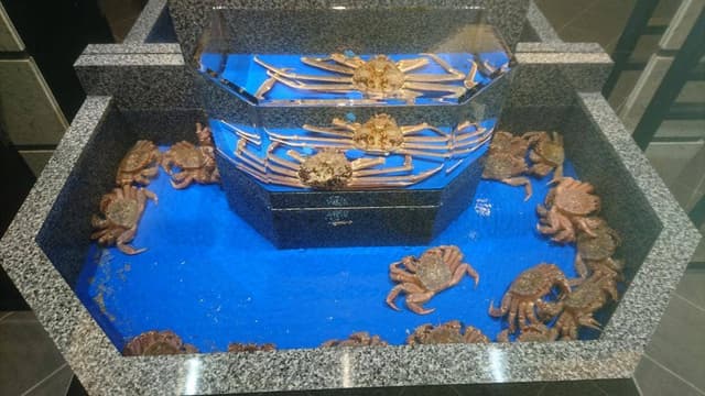 かに道楽 岡山店 - サブ画像2